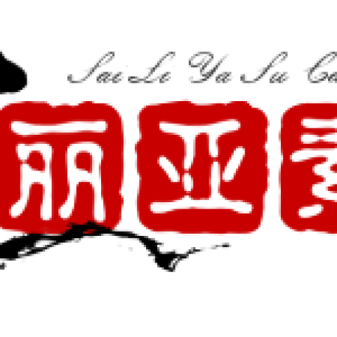赛丽亚素材网